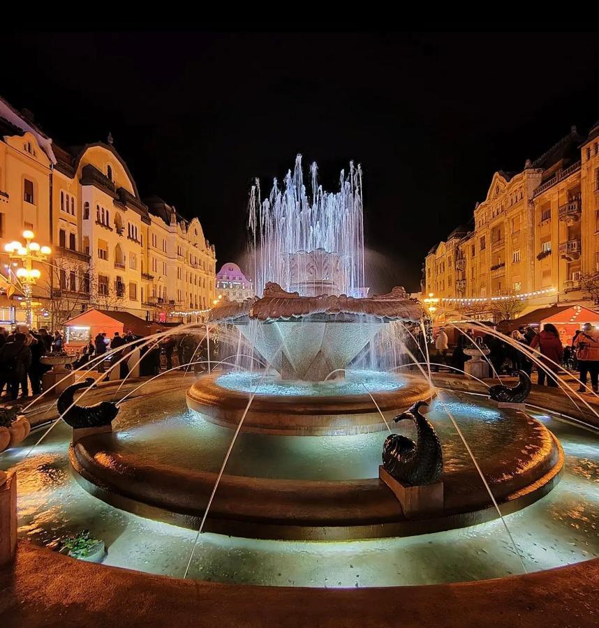 Premium Timisoara公寓 外观 照片