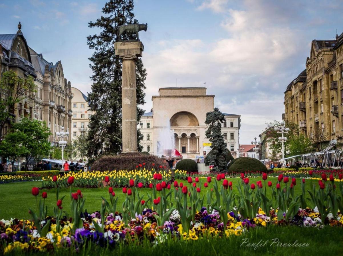 Premium Timisoara公寓 外观 照片