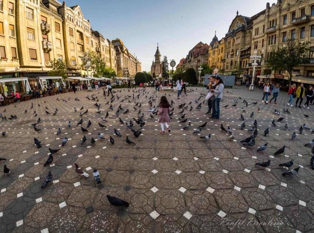 Premium Timisoara公寓 外观 照片