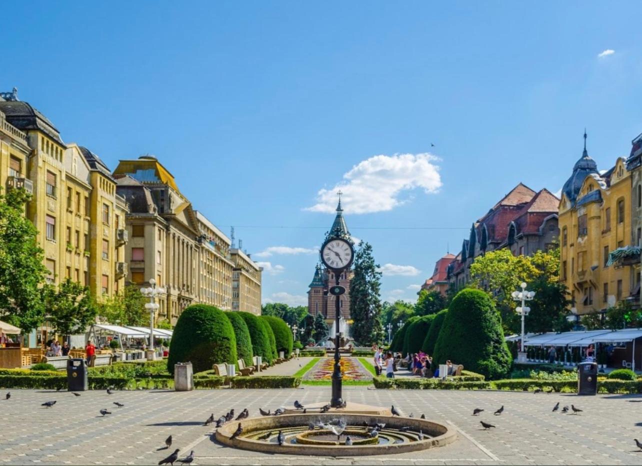 Premium Timisoara公寓 外观 照片