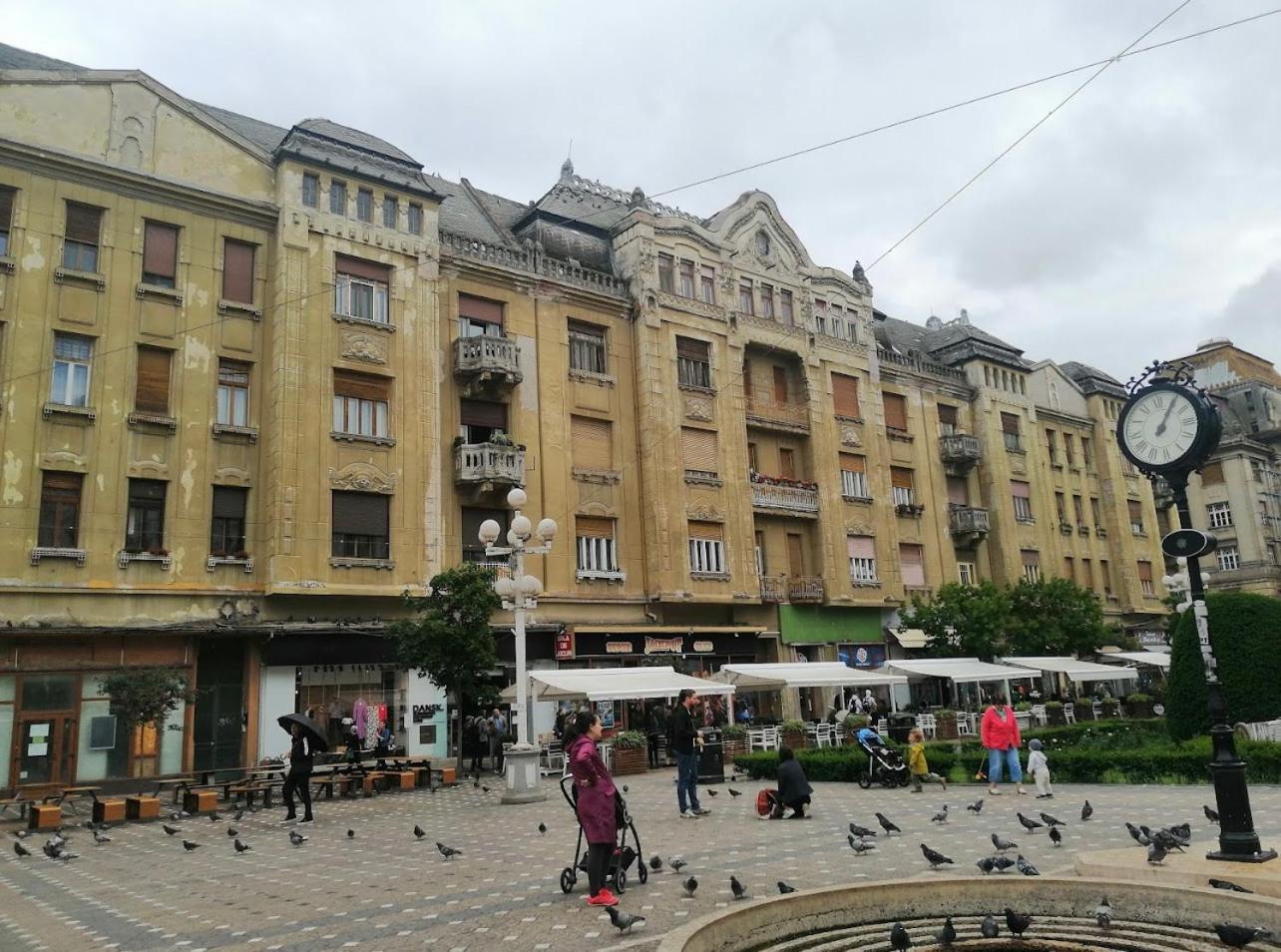 Premium Timisoara公寓 外观 照片